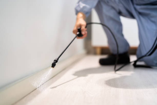 Licensed Termite Control service in Goodman, MS - Nex Pest Control