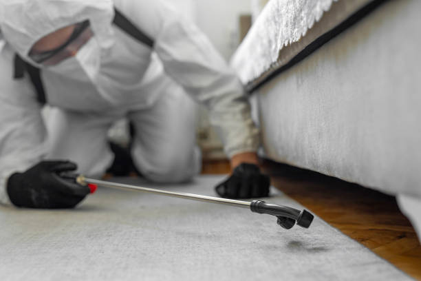 Professional Termite Control technician working in Goodman, MS