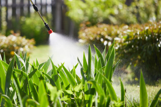 24/7 Emergency Termite Control experts in Goodman, MS