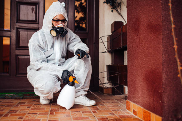 Reliable Termite Control contractor in Goodman, MS by Nex Pest Control
