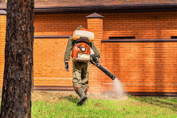 Top rated local Termite Control specialists in Goodman, MS